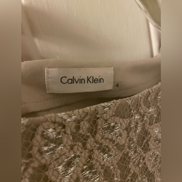Calvin Klein Dress.  Shimmery Beige Lace.  Size 4. - Picture 3 of 4